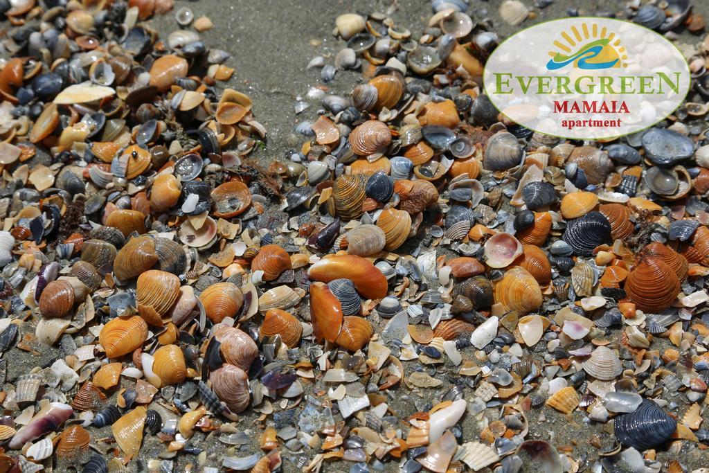 Evergreen Vlas Mamaia Sud Exterior foto
